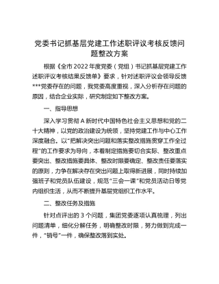 书记抓基层党建工作述职评议考核反馈问题整改方案（公司2000字）