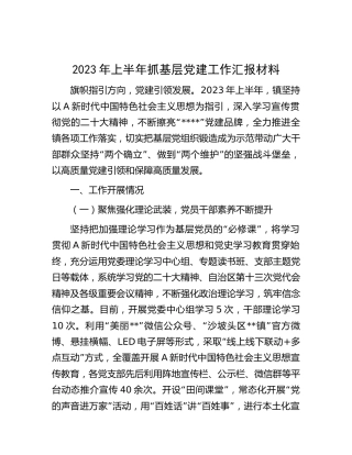 2023年上半年乡镇抓基层党建工作总结