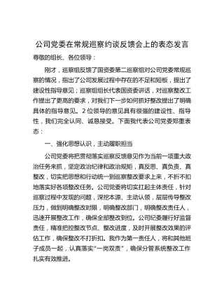 公司巡察约谈反馈会上的表态发言