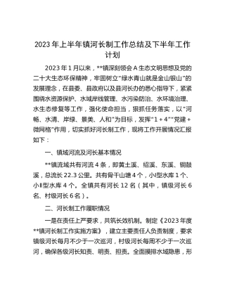 2023年上半年乡镇河长制工作总结及下半年工作计划