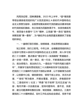 2023年上半年乡镇党建工作总结汇报