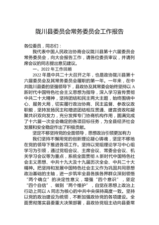 陇川县委员会常务委员会工作报告（20230211）