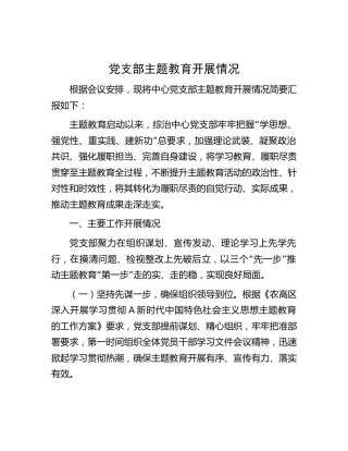党支部主题教育开展情况总结2200字
