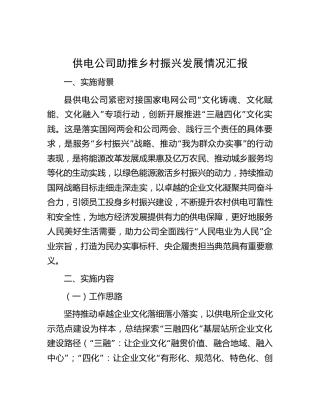 供电公司助推乡村振兴发展情况总结汇报3300字