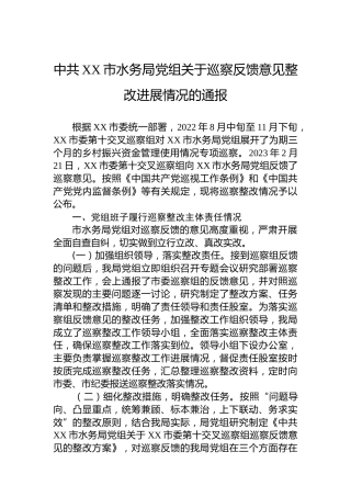 水务局关于巡察反馈意见整改进展情况的通报（总结报告）