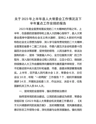 2023年上半年人大工作情况总结报告