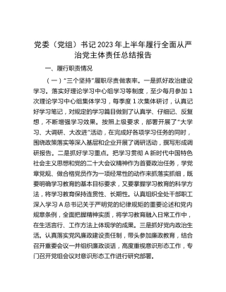 书记2023年上半年履行全面从严治党主体责任总结报告