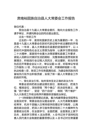 肃南裕固族自治县人大常委会工作报告(20230209)