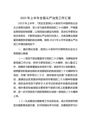 2023年上半年全面从严治党工作总结汇报（2）