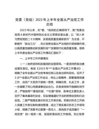 2023年上半年全面从严治党工作总结