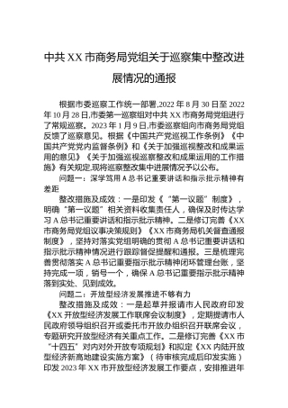市商务局党组关于巡察集中整改进展情况的通报（20230518）