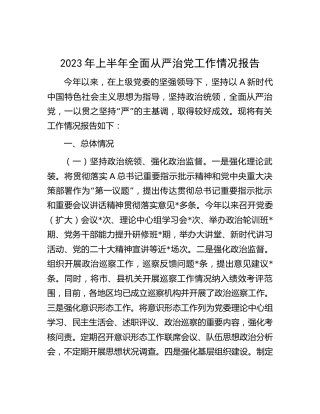 2023年上半年全面从严治党工作情况报告（2900字总结）