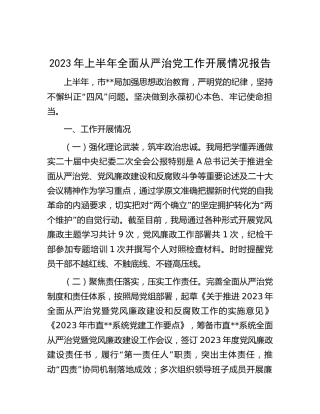 2023年上半年全面从严治党工作开展情况总结报告2300字