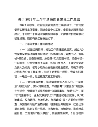 2023年上半年清廉国企建设工作总结（公司4000字）