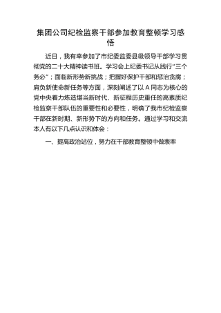 公司纪检监察干部参加教育整顿学习感悟1500字