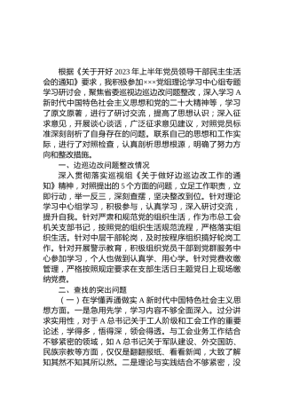 2023年上半年民主生活会个人对照检查3000字
