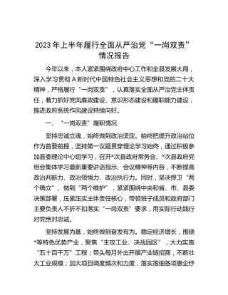 2023年上半年履行全面从严治党“一岗双责”情况总结报告