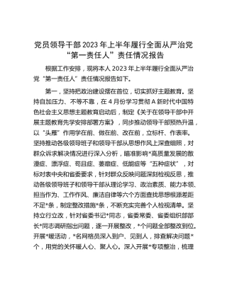 2023年上半年履行全面从严治党“第一责任人”责任情况总结报告