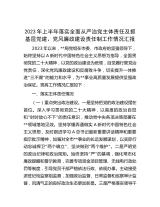 2023年上半年落实全面从严治党主体责任及抓基层党建、党风廉政建设责任制工作情况总结汇报