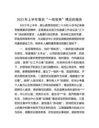 2023年上半年落实“一岗双责”情况总结报告（卫健疾控1900字）