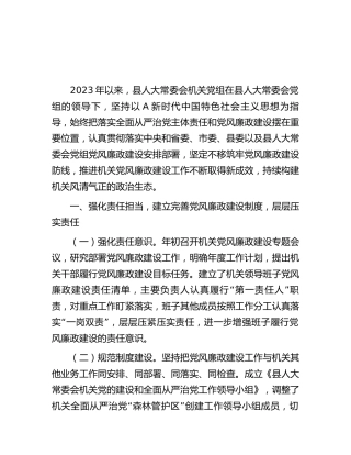 人大2023上半年落实全面从严治党主体责任和党风廉政建设情况的总结报告