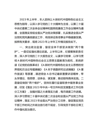 2023年上半年纪委书记履职情况报告1900字（总结）