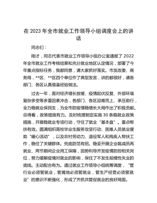 在2023年全市就业工作领导小组调度会上的讲话