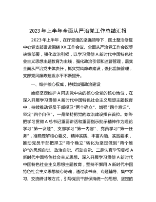 2023年上半年党支部全面从严治党工作总结汇报