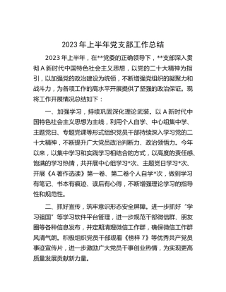 2023年上半年党支部工作总结汇报