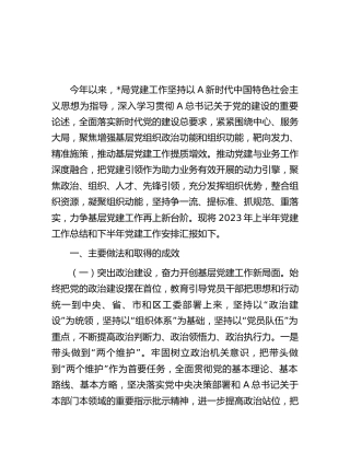 2023年上半年党建工作总结和下半年工作计划