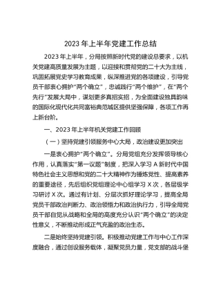 2023年上半年党建工作总结（自然资源4700字）