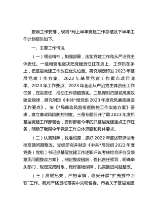 2023年上半年党建工作总结（3）