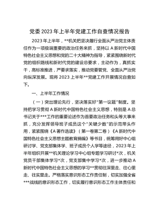 2023年上半年党建工作自查情况总结报告