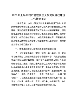 2023年上半年城管执法大队党风廉政建设工作情况总结报告2300字