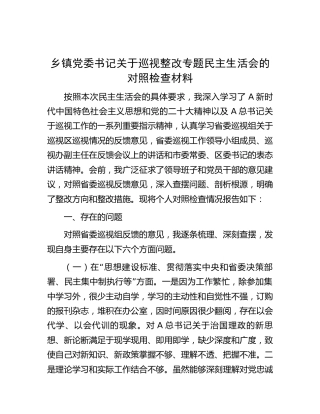 乡镇书记巡视（巡察）整改专题民主生活会对照检查3900字