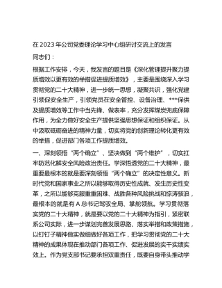 在2023年公司中心组研讨交流上的发言（含党建引领促安全生产）