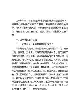 乡镇上半年党建工作总结