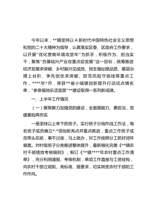 乡镇人民政府2023年上半年工作总结及下半年工作打算