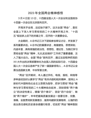 2023年两会精神感悟