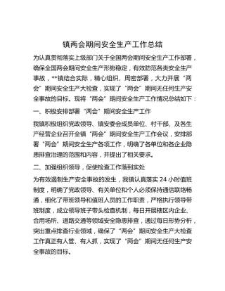 乡镇两会期间安全生产工作总结