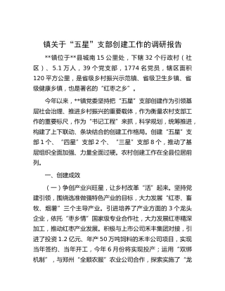 乡镇关于“五星”支部创建工作的调研报告