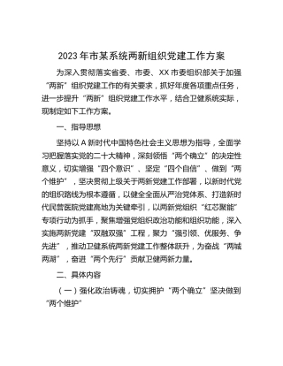 2023年两新组织党建工作方案