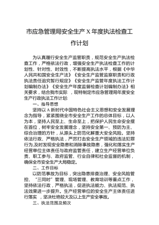 市应急管理局安全生产执法检查工作计划