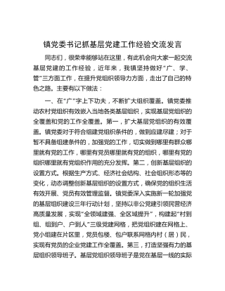 乡镇党委书记抓基层党建工作经验交流发言