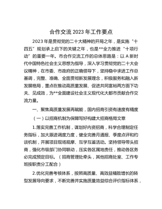 2023年合作交流工作要点