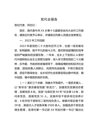 乡镇党代会报告