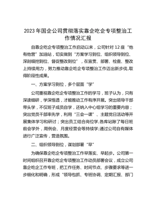 2023年国企公司贯彻落实靠企吃企专项整治工作情况汇报