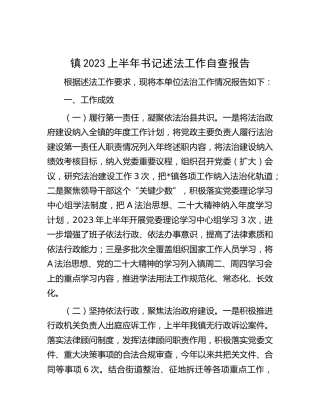 乡镇2023上半年书记述法工作自查报告
