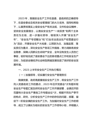 乡镇2023上半年安全生产工作总结3000字