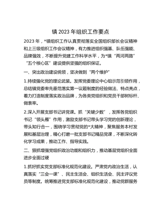 乡镇2023年组织工作要点